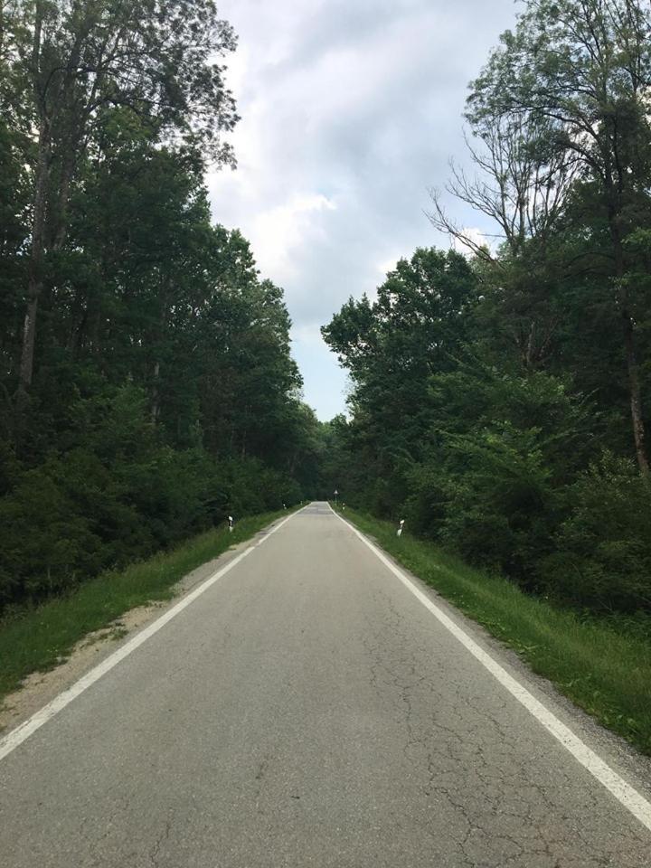 Kod Ribica Panzió Jasenovac Kültér fotó