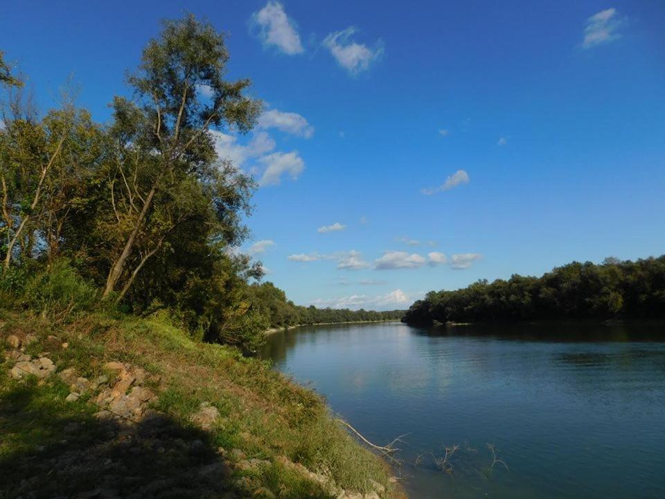 Kod Ribica Panzió Jasenovac Kültér fotó