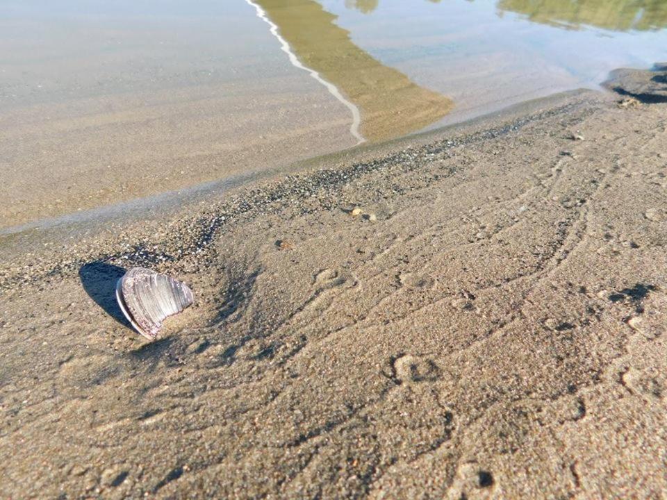 Kod Ribica Panzió Jasenovac Kültér fotó